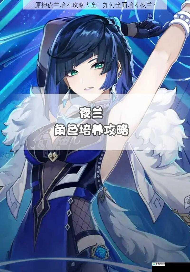 原神夜兰培养攻略大全:如何全面培养夜兰?