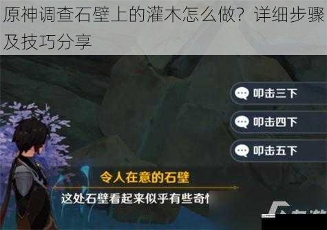 原神调查石壁上的灌木怎么做?详细步骤及技巧分享