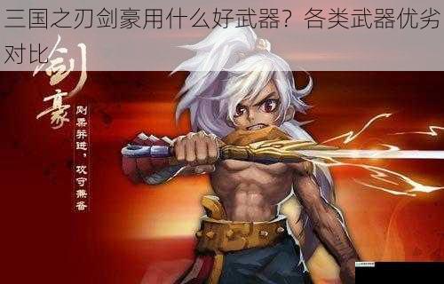三国之刃剑豪用什么好武器?各类武器优劣对比