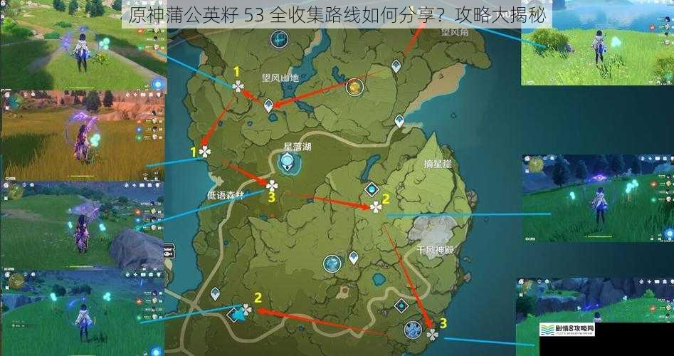 原神蒲公英籽 53 全收集路线如何分享?攻略大揭秘