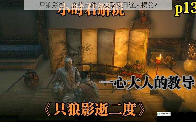 只狼影逝二度葫芦种子获取及用途大揭秘?