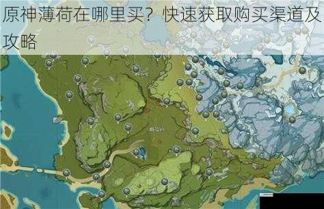 原神薄荷在哪里买?快速获取购买渠道及攻略