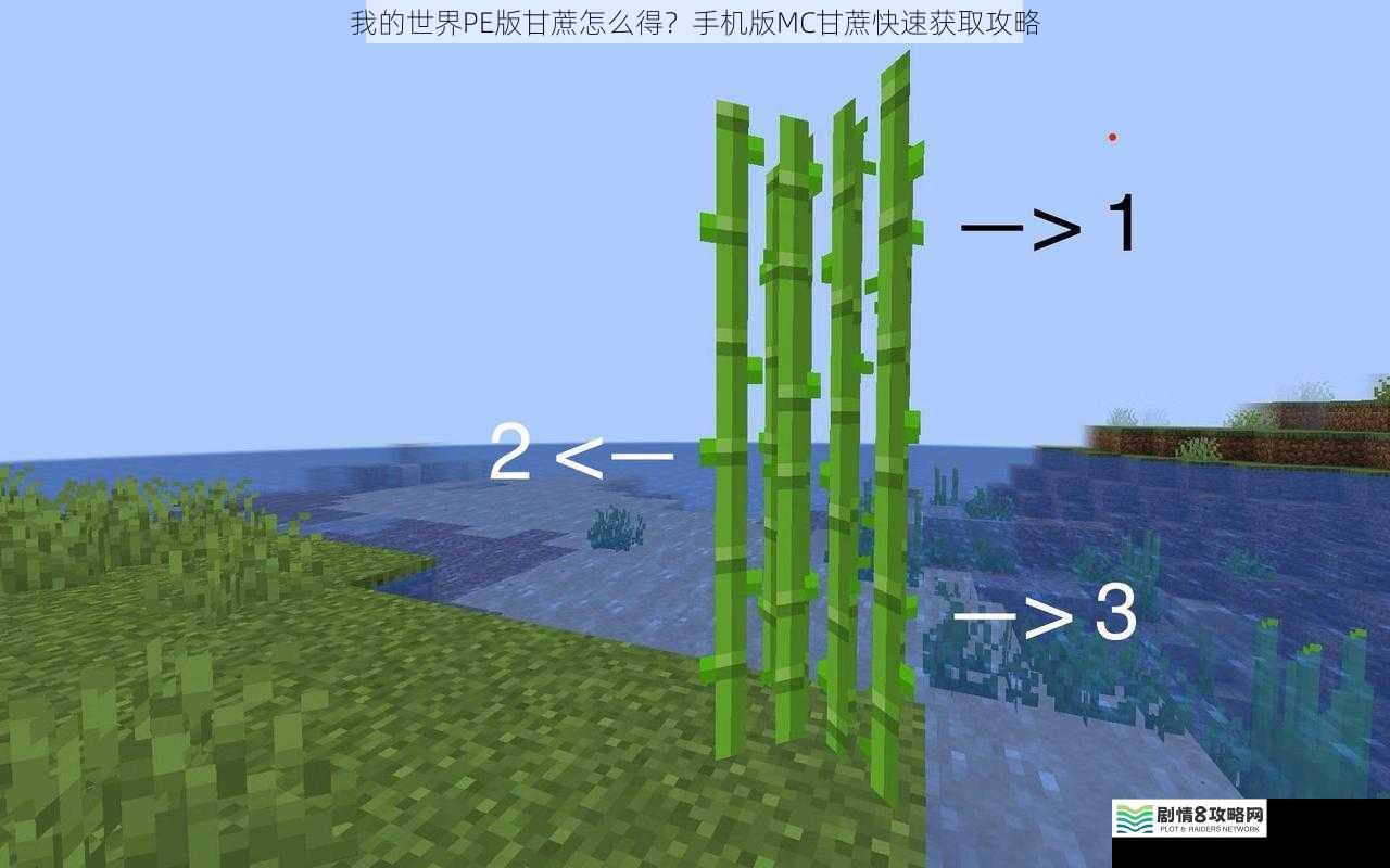我的世界PE版甘蔗怎么得?手机版MC甘蔗快速获取攻略