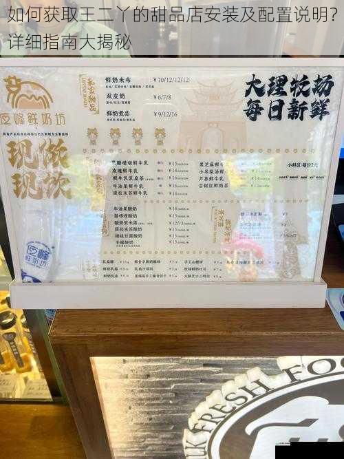 如何获取王二丫的甜品店安装及配置说明?详细指南大揭秘