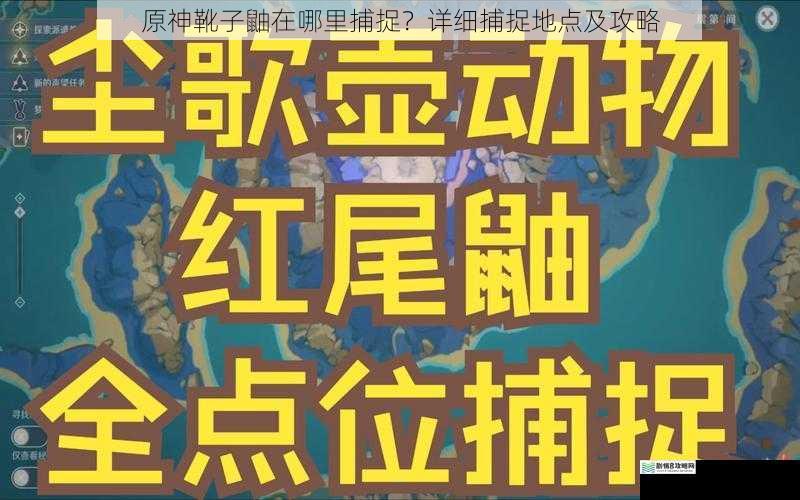 原神靴子鼬在哪里捕捉?详细捕捉地点及攻略