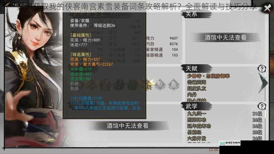 如何获取我的侠客南宫素雪装备词条攻略解析?全面解读与技巧分享