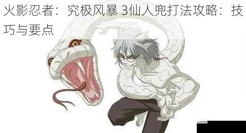 火影忍者:究极风暴 3仙人兜打法攻略:技巧与要点