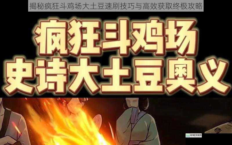 揭秘疯狂斗鸡场大土豆速刷技巧与高效获取终极攻略