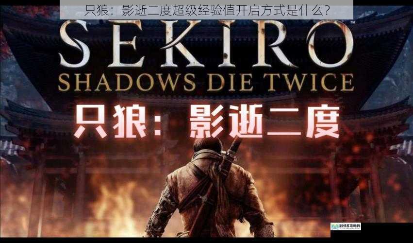 只狼:影逝二度超级经验值开启方式是什么?