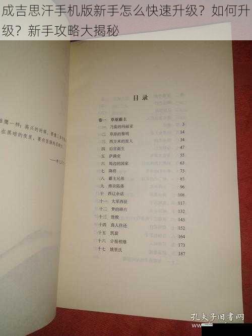 成吉思汗手机版新手怎么快速升级?如何升级?新手攻略大揭秘