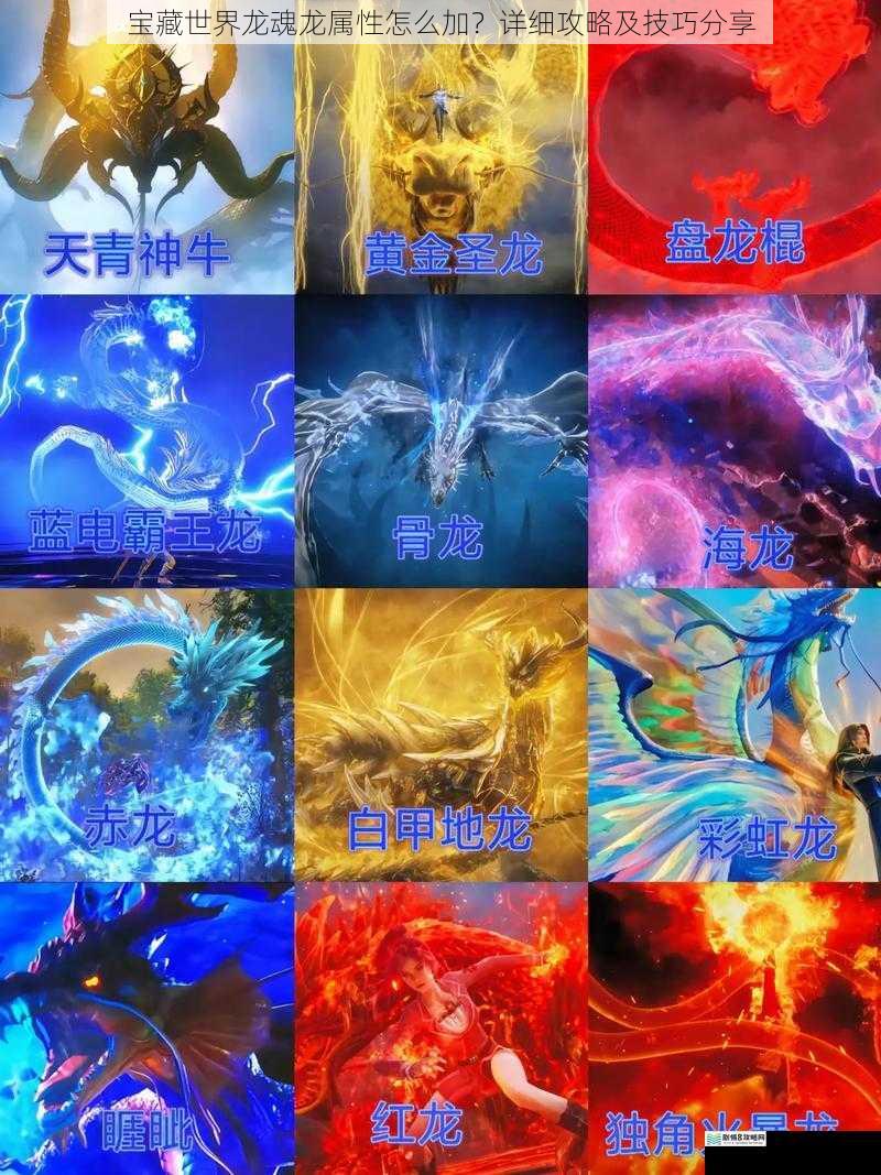 宝藏世界龙魂龙属性怎么加?详细攻略及技巧分享