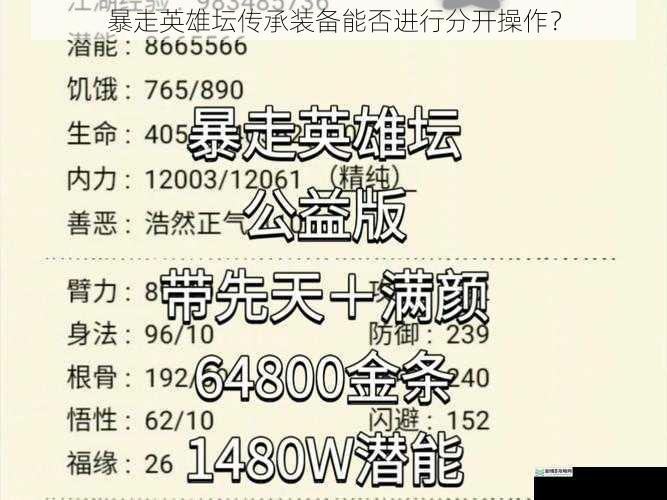 暴走英雄坛传承装备能否进行分开操作?