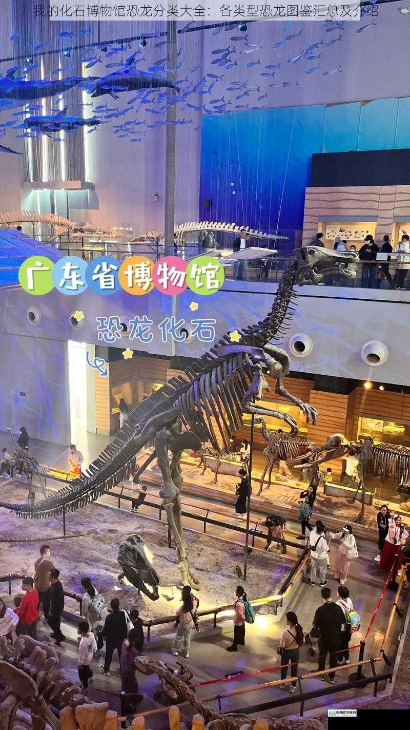 我的化石博物馆恐龙分类大全:各类型恐龙图鉴汇总及介绍