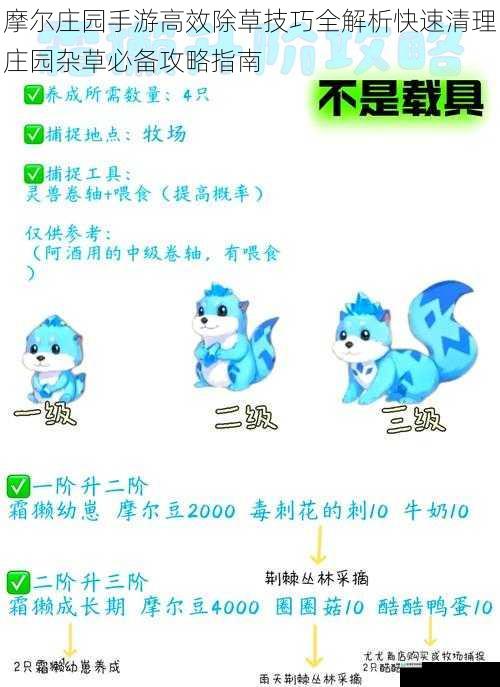 摩尔庄园手游高效除草技巧全解析快速清理庄园杂草必备攻略指南
