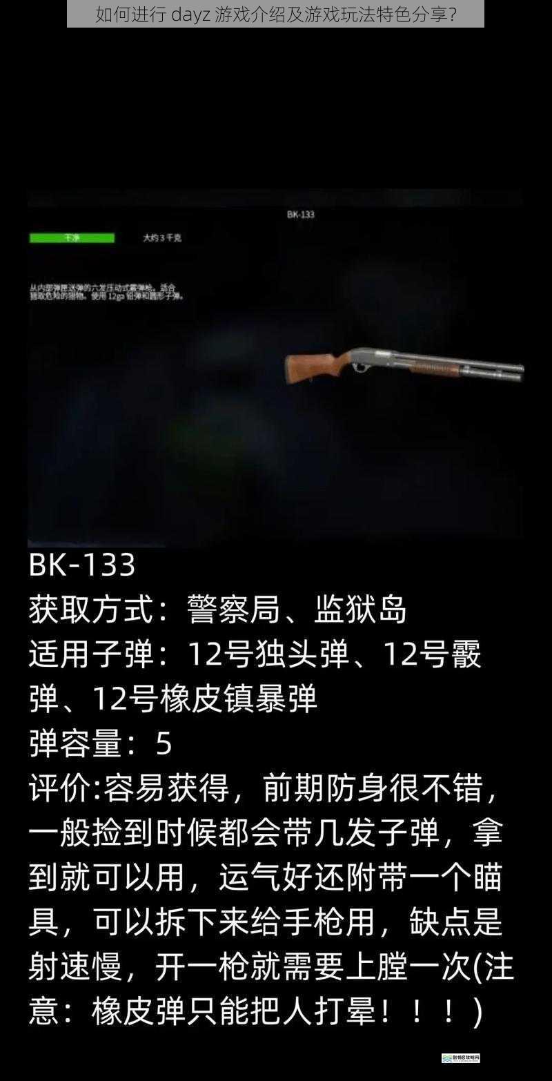 如何进行 dayz 游戏介绍及游戏玩法特色分享?