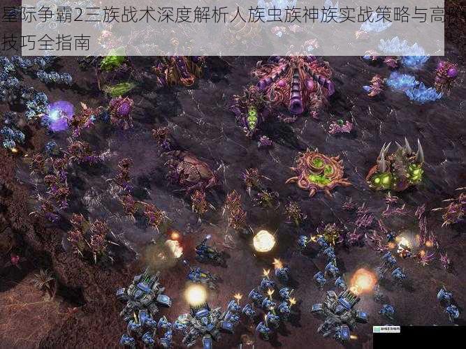 星际争霸2三族战术深度解析人族虫族神族实战策略与高阶技巧全指南