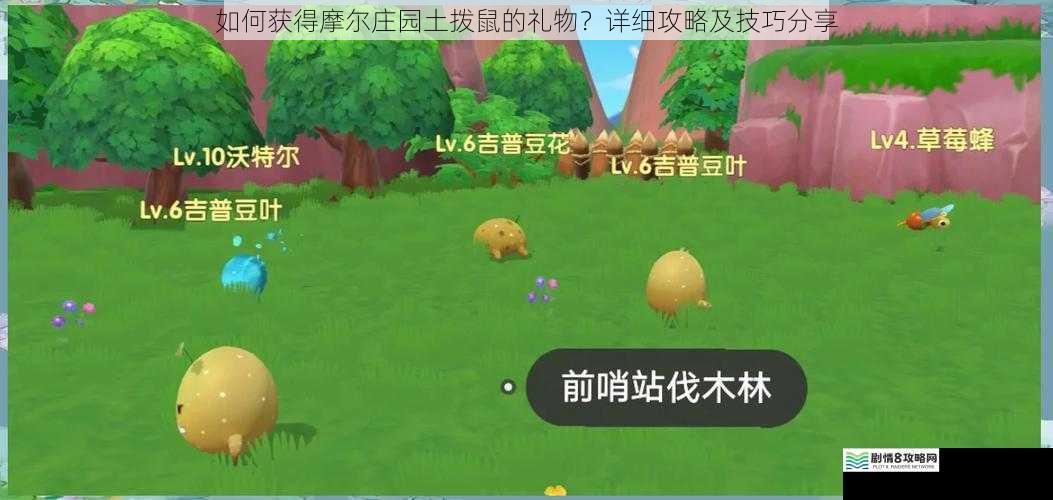 如何获得摩尔庄园土拨鼠的礼物?详细攻略及技巧分享
