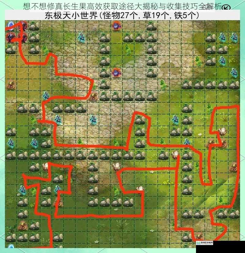 想不想修真长生果高效获取途径大揭秘与收集技巧全解析