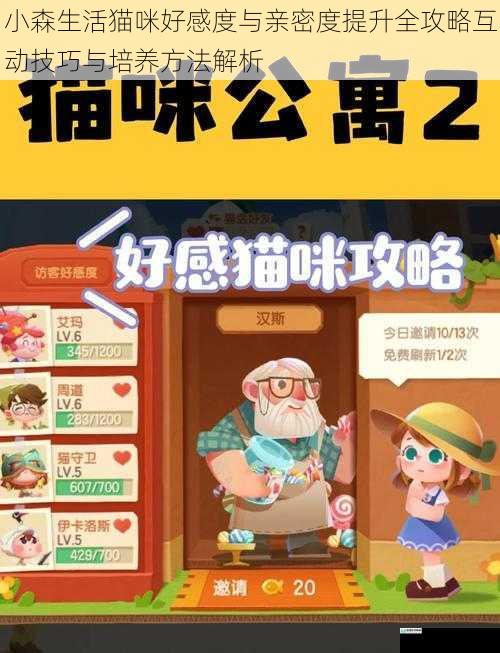 小森生活猫咪好感度与亲密度提升全攻略互动技巧与培养方法解析