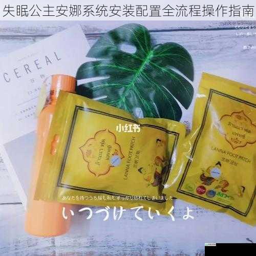 失眠公主安娜系统安装配置全流程操作指南