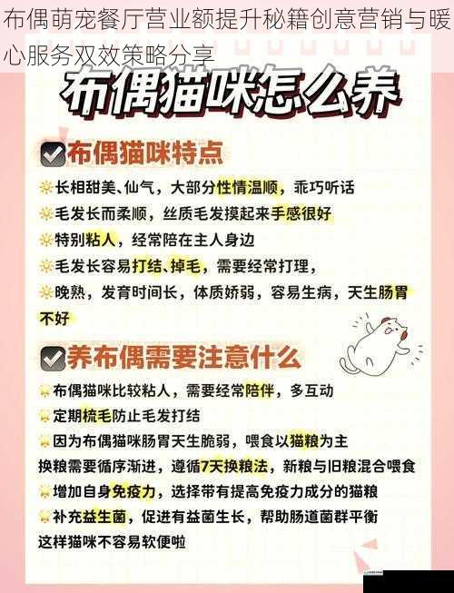布偶萌宠餐厅营业额提升秘籍创意营销与暖心服务双效策略分享