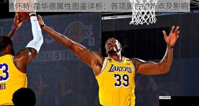 德怀特·霍华德属性图鉴详析:各项属性的特点及影响?