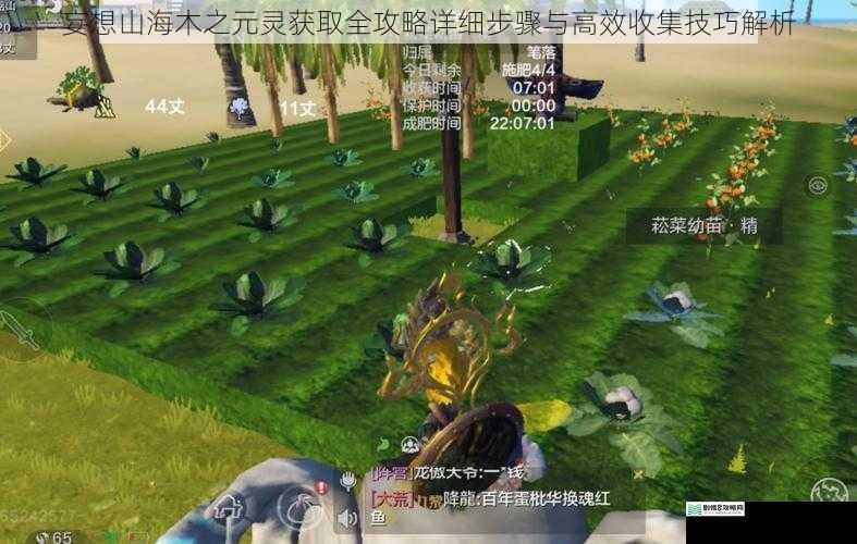 妄想山海木之元灵获取全攻略详细步骤与高效收集技巧解析