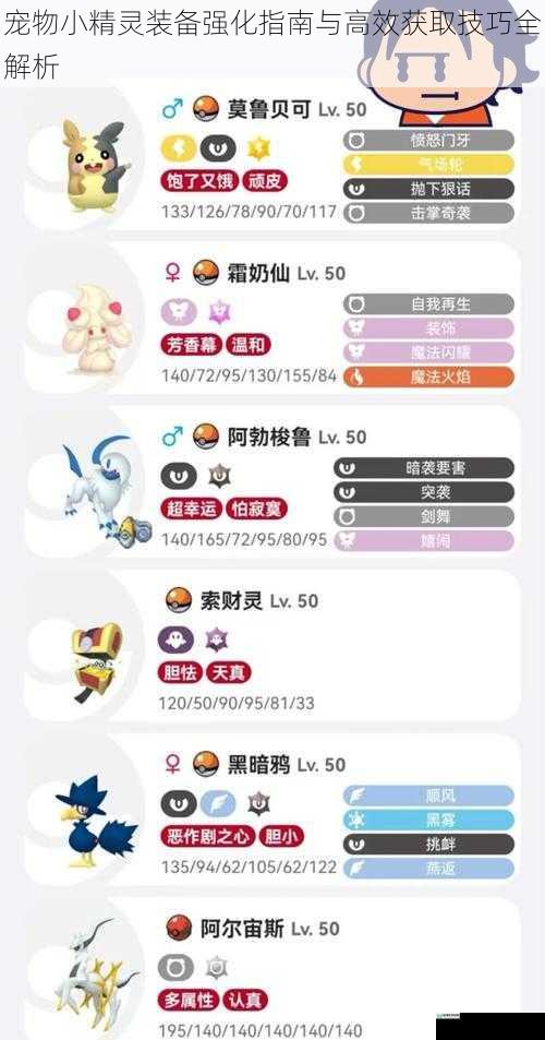 宠物小精灵装备强化指南与高效获取技巧全解析