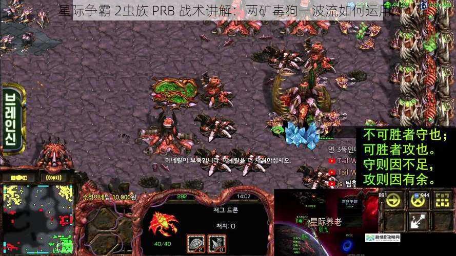 星际争霸 2虫族 PRB 战术讲解：两矿毒狗一波流如何运用？