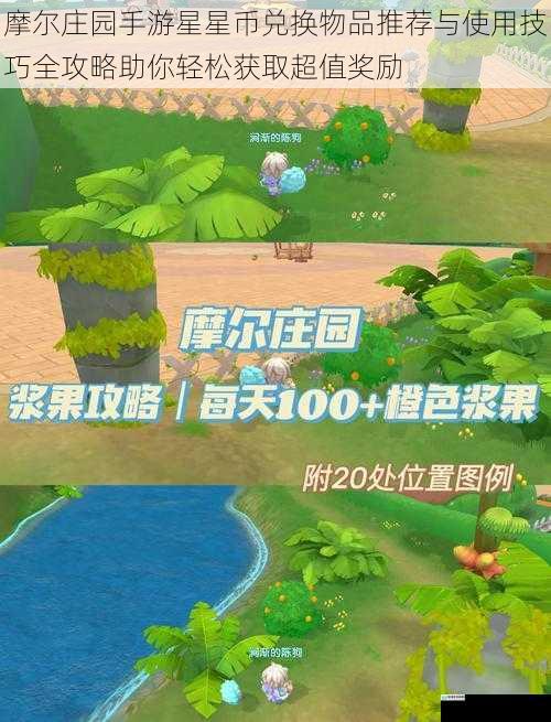 摩尔庄园手游星星币兑换物品推荐与使用技巧全攻略助你轻松获取超值奖励