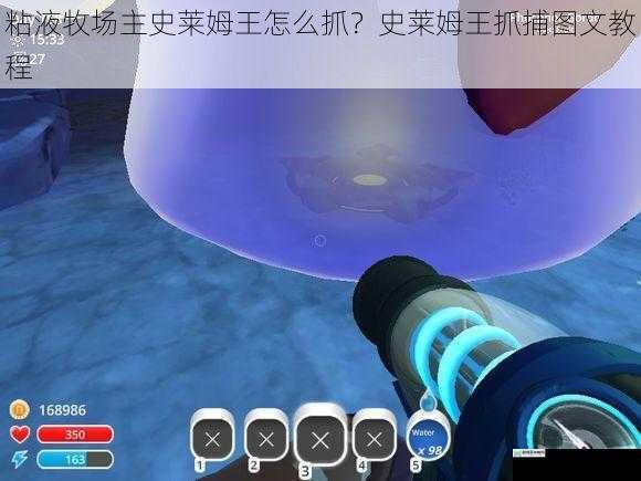 粘液牧场主史莱姆王怎么抓?史莱姆王抓捕图文教程