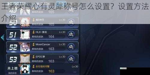 王者荣耀心有灵犀称号怎么设置?设置方法介绍