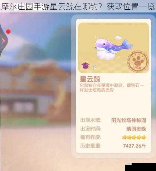 摩尔庄园手游星云鲸在哪钓?获取位置一览