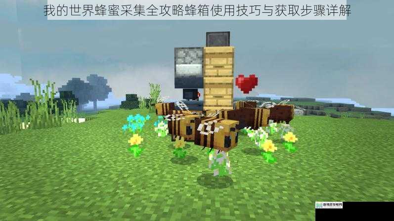 我的世界蜂蜜采集全攻略蜂箱使用技巧与获取步骤详解