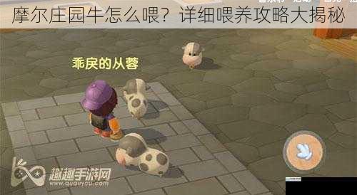 摩尔庄园牛怎么喂?详细喂养攻略大揭秘