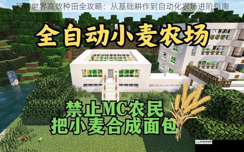 我的世界高效种田全攻略：从基础耕作到自动化农场进阶指南