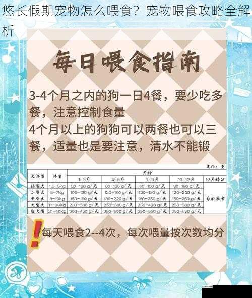 悠长假期宠物怎么喂食？宠物喂食攻略全解析