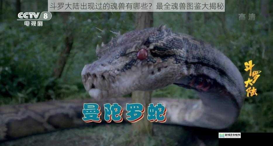 斗罗大陆出现过的魂兽有哪些？最全魂兽图鉴大揭秘