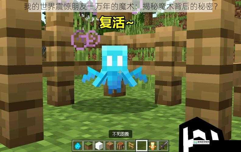 我的世界震惊朋友一万年的魔术：揭秘魔术背后的秘密？