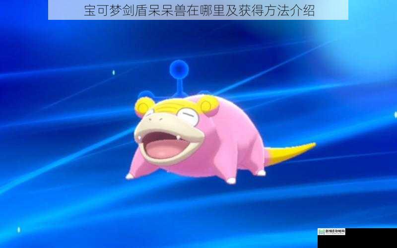 宝可梦剑盾呆呆兽在哪里及获得方法介绍