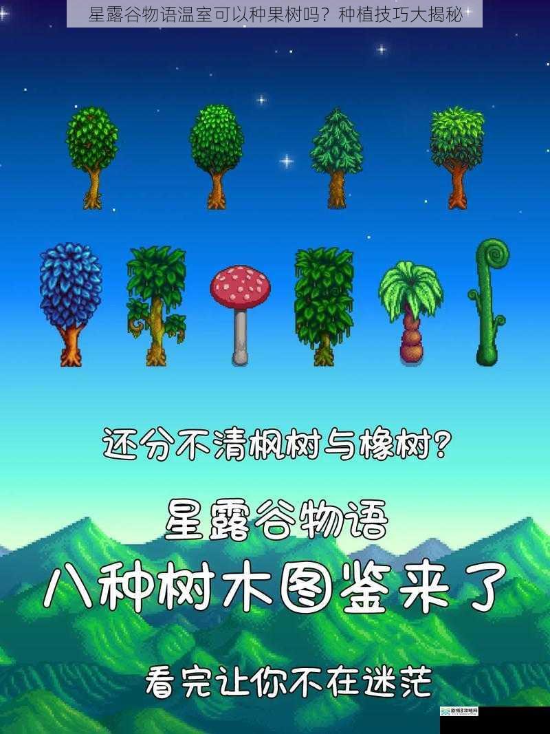 星露谷物语温室可以种果树吗？种植技巧大揭秘