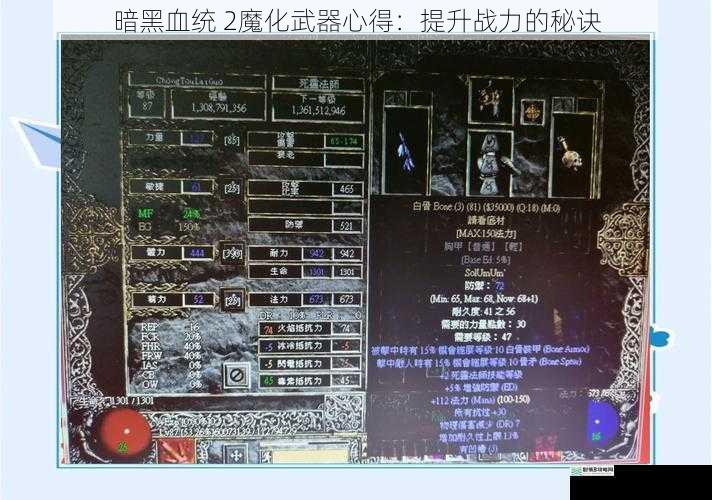 暗黑血统 2魔化武器心得：提升战力的秘诀