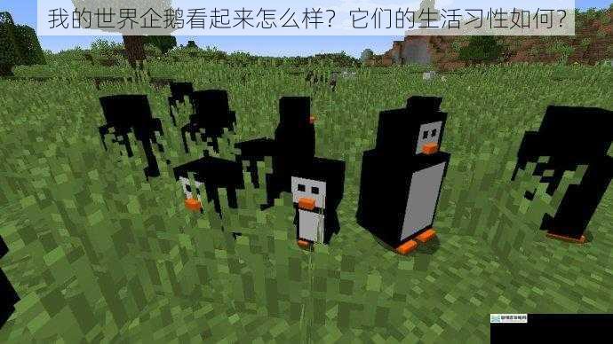 我的世界企鹅看起来怎么样？它们的生活习性如何？