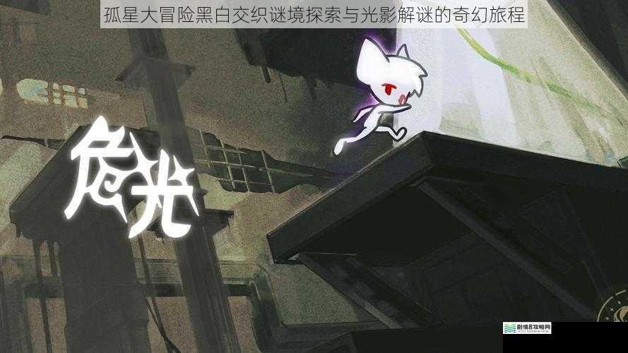 孤星大冒险黑白交织谜境探索与光影解谜的奇幻旅程