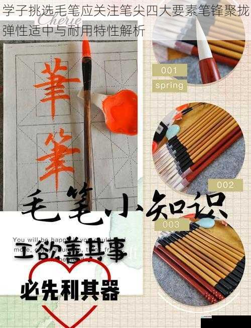 学子挑选毛笔应关注笔尖四大要素笔锋聚拢弹性适中与耐用特性解析