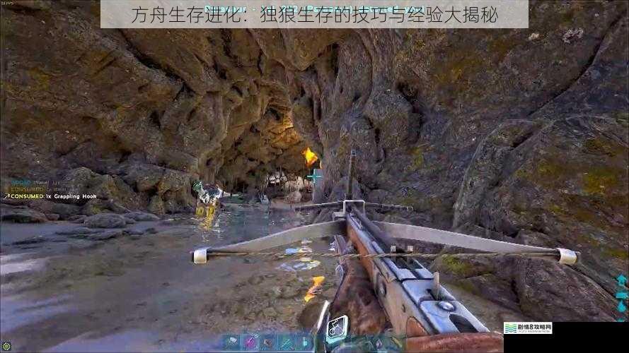 方舟生存进化：独狼生存的技巧与经验大揭秘