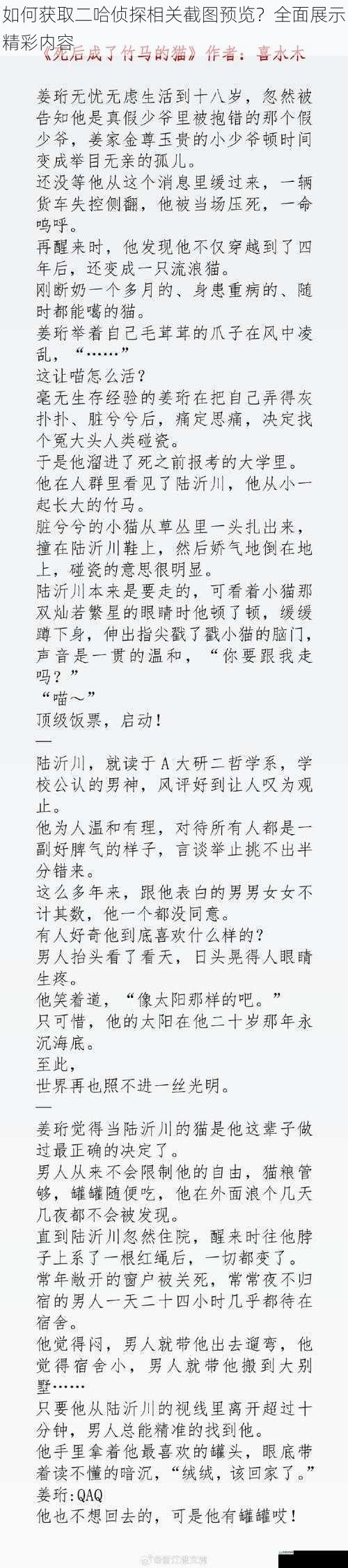 如何获取二哈侦探相关截图预览？全面展示精彩内容