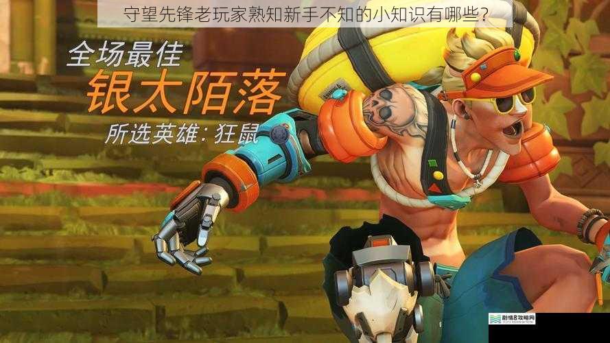 守望先锋老玩家熟知新手不知的小知识有哪些？