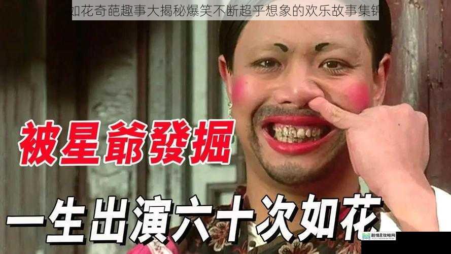 如花奇葩趣事大揭秘爆笑不断超乎想象的欢乐故事集锦