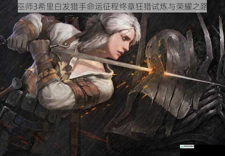 巫师3希里白发猎手命运征程终章狂猎试炼与荣耀之路